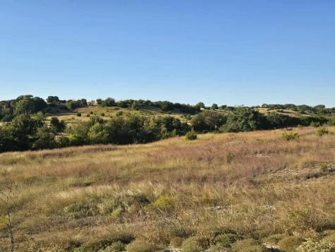 229 Grand Canyon Drive Oglesby TX 76561