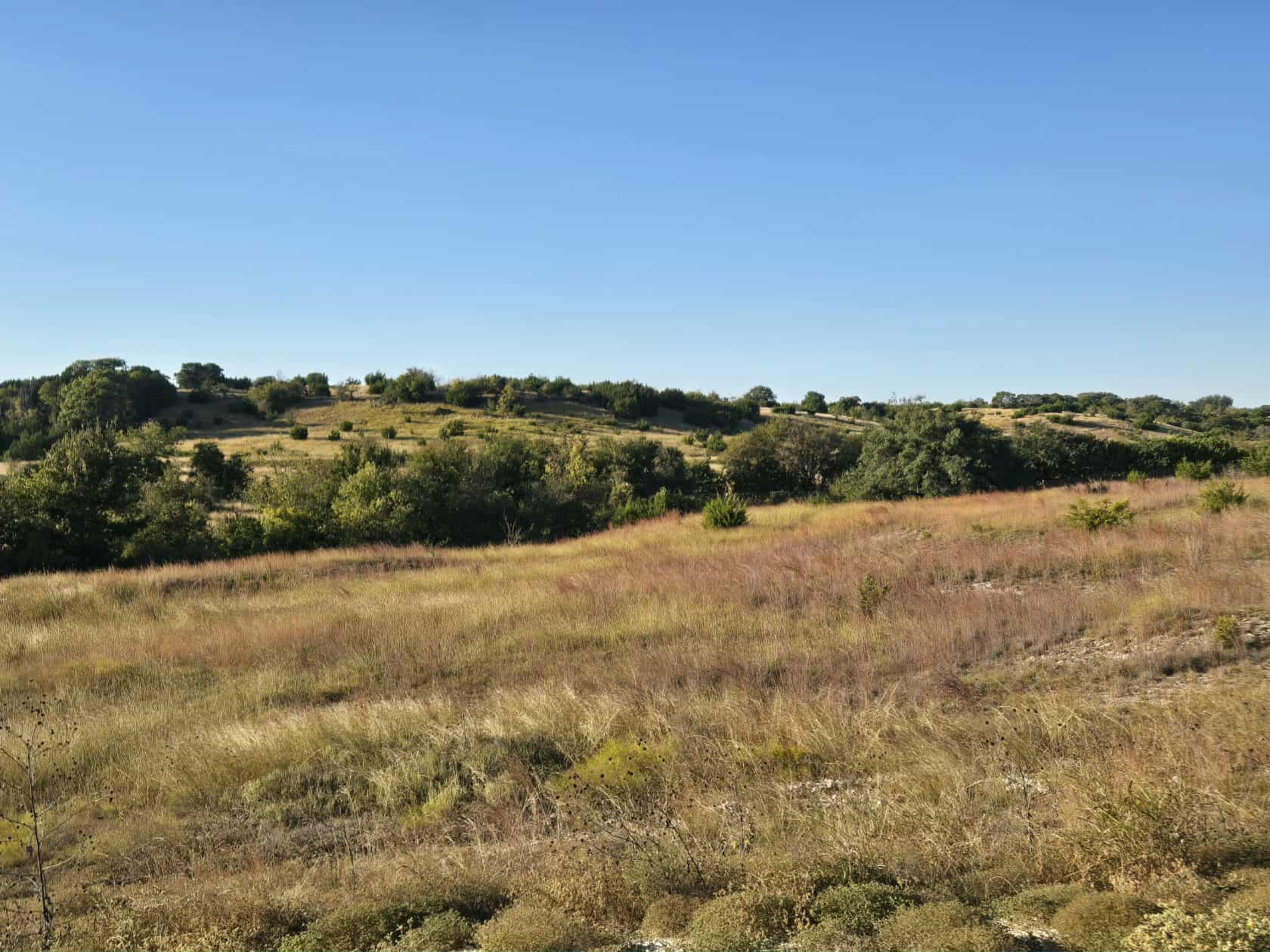 229 Grand Canyon Drive Oglesby TX 76561