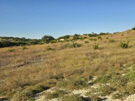 229 Grand Canyon Drive Oglesby TX 76561