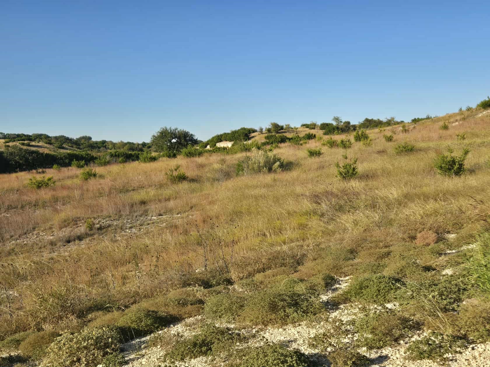 229 Grand Canyon Drive Oglesby TX 76561
