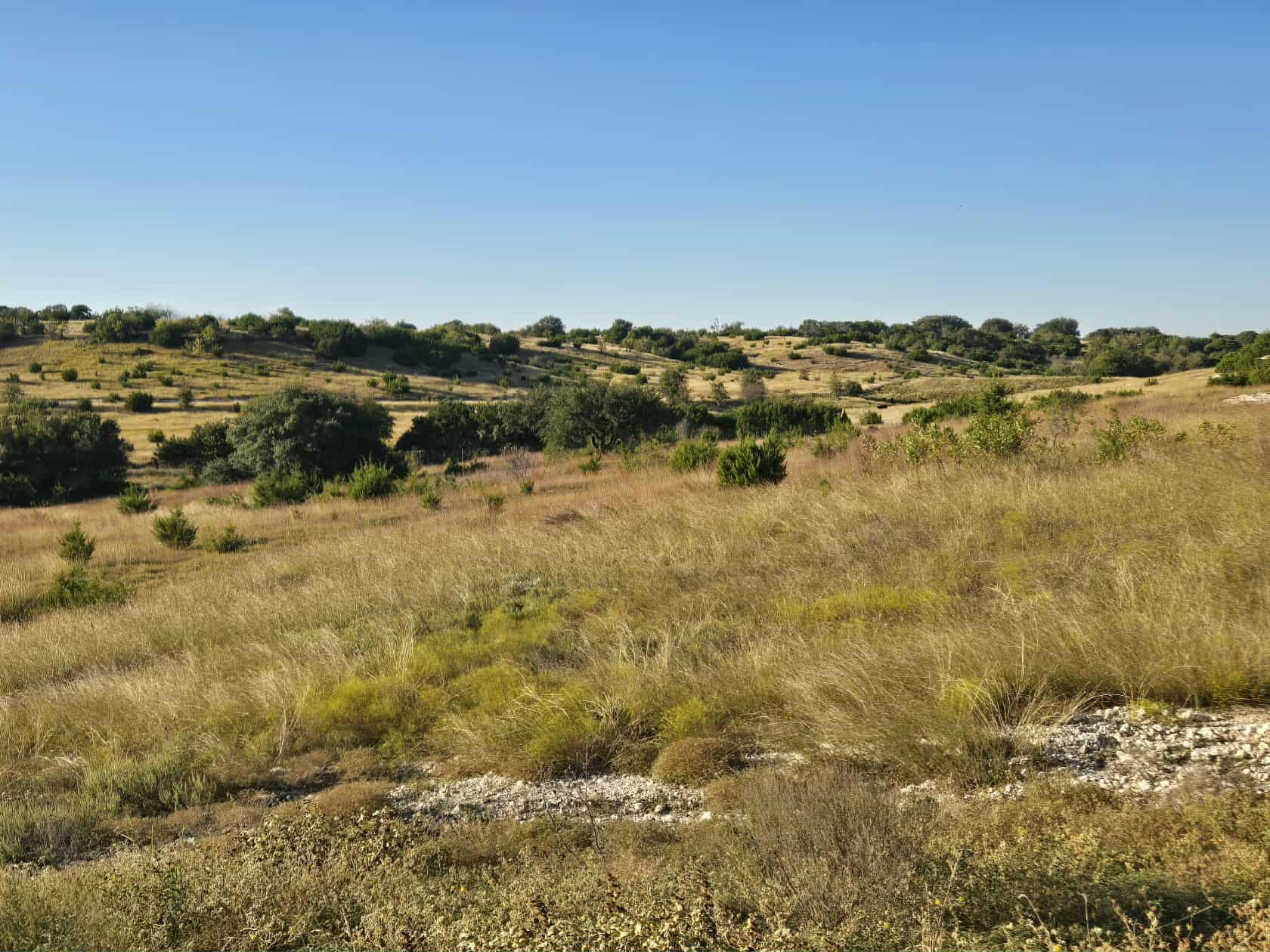 229 Grand Canyon Drive Oglesby TX 76561