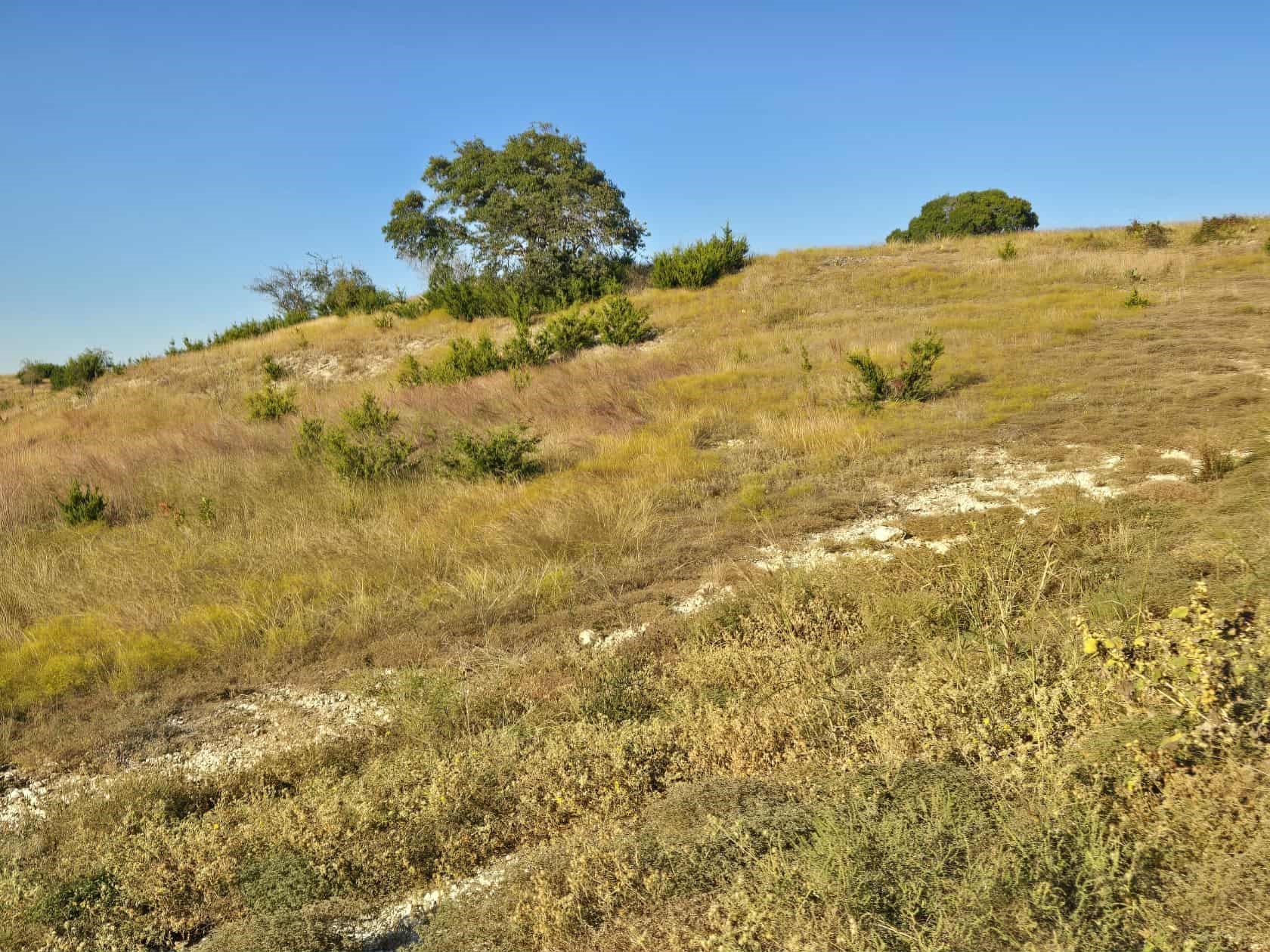 229 Grand Canyon Drive Oglesby TX 76561