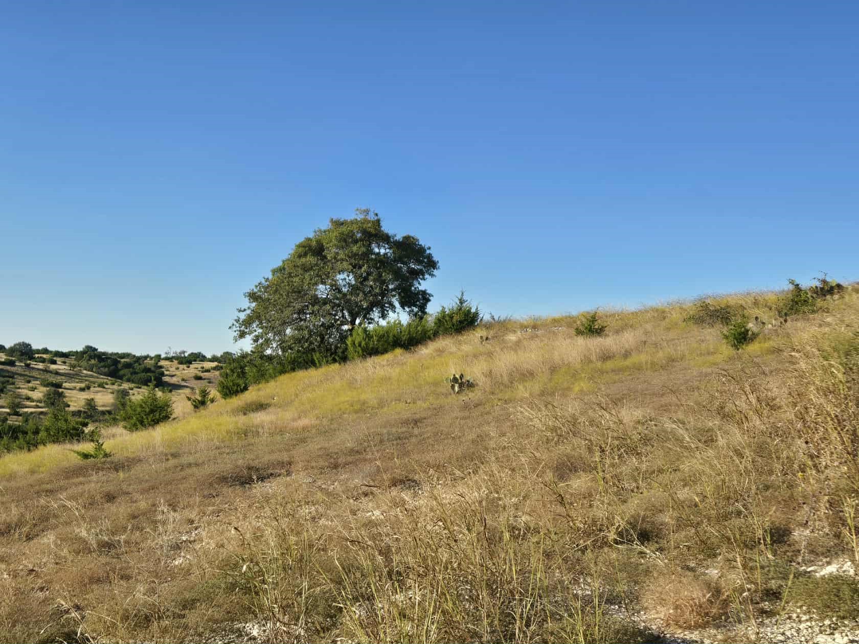 229 Grand Canyon Drive Oglesby TX 76561