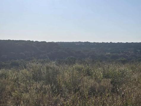 229 Grand Canyon Drive Oglesby TX 76561