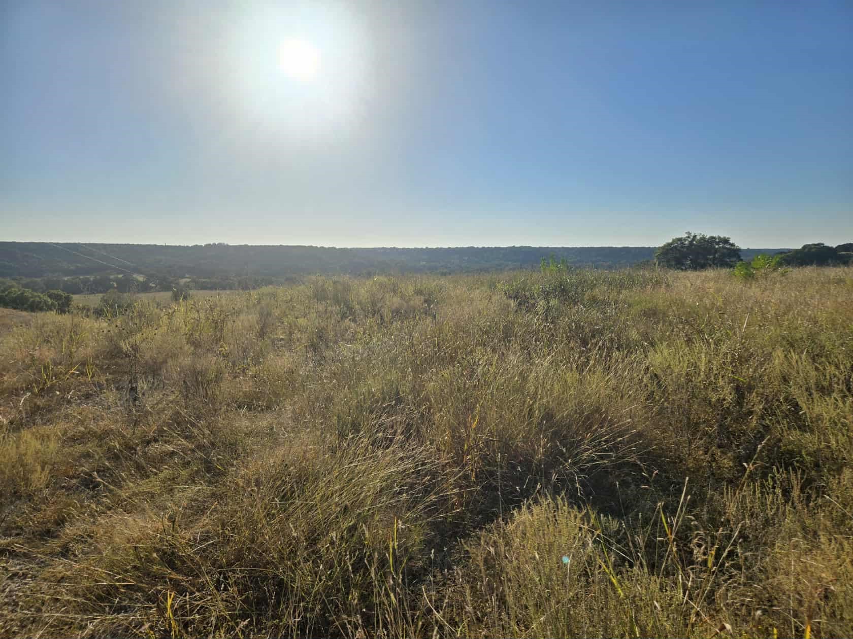 229 Grand Canyon Drive Oglesby TX 76561