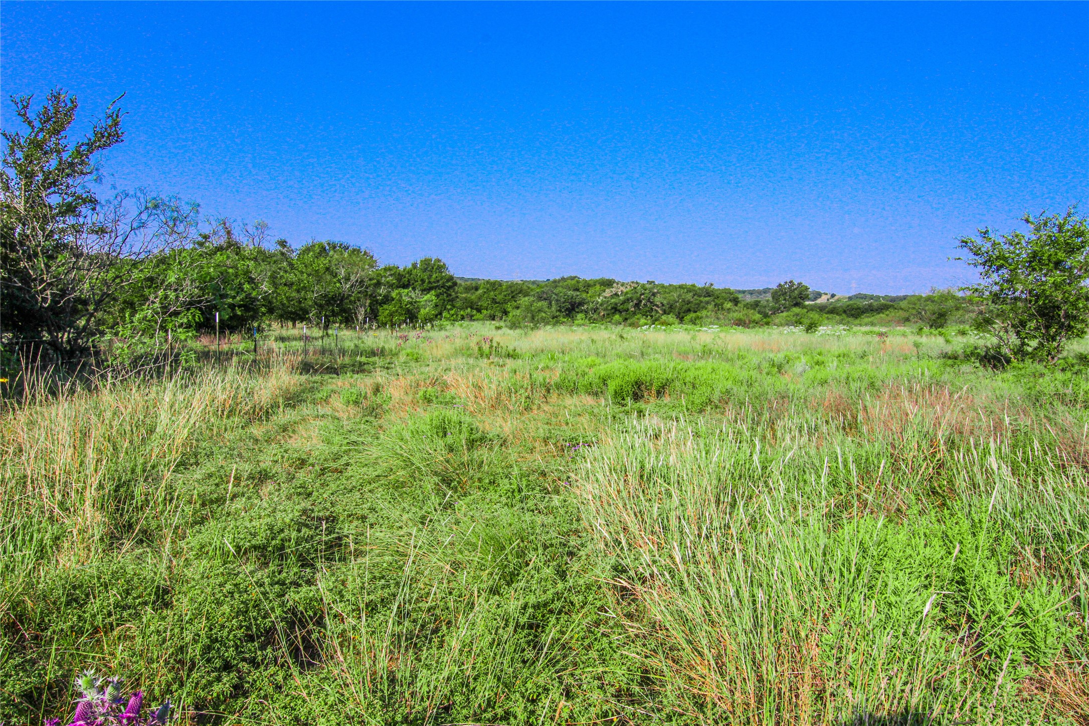 450 Beaver Creek Lane Jacksboro TX 76458