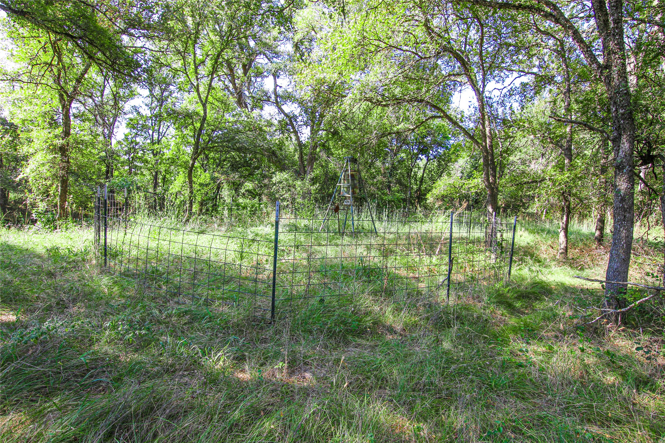 450 Beaver Creek Lane Jacksboro TX 76458