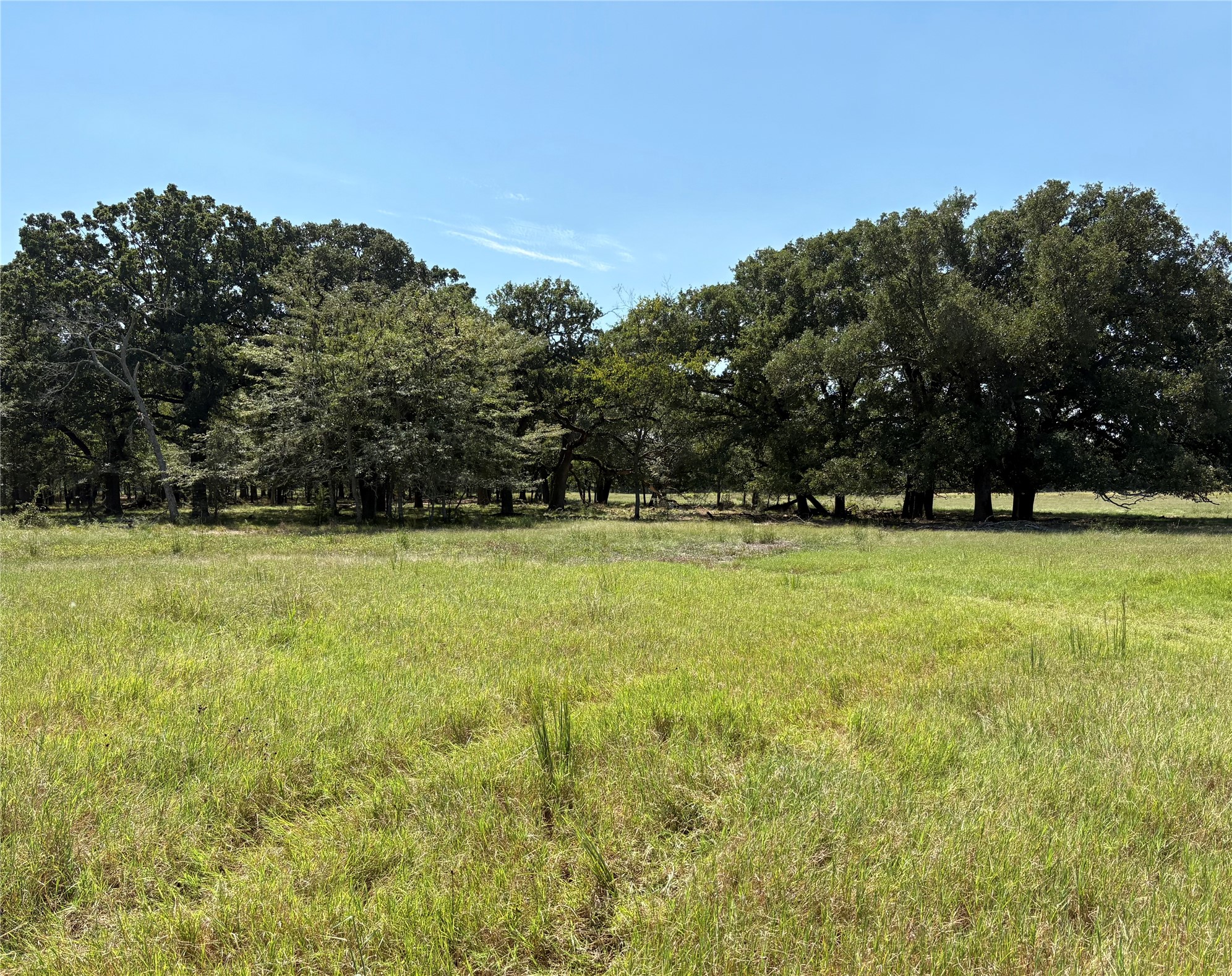 Tbd County Road 1168 Brashear TX 75420