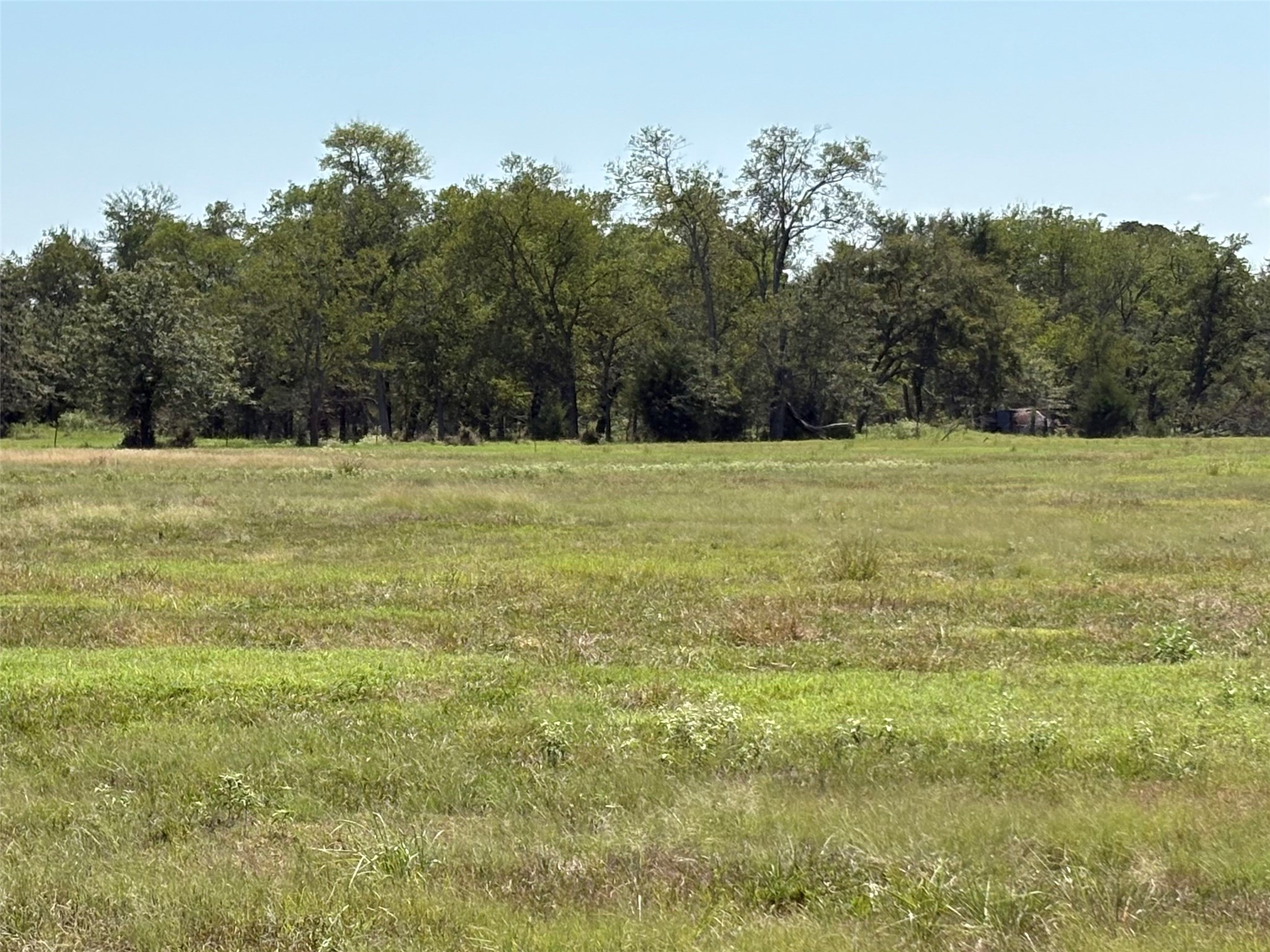Tbd County Road 1168 Brashear TX 75420