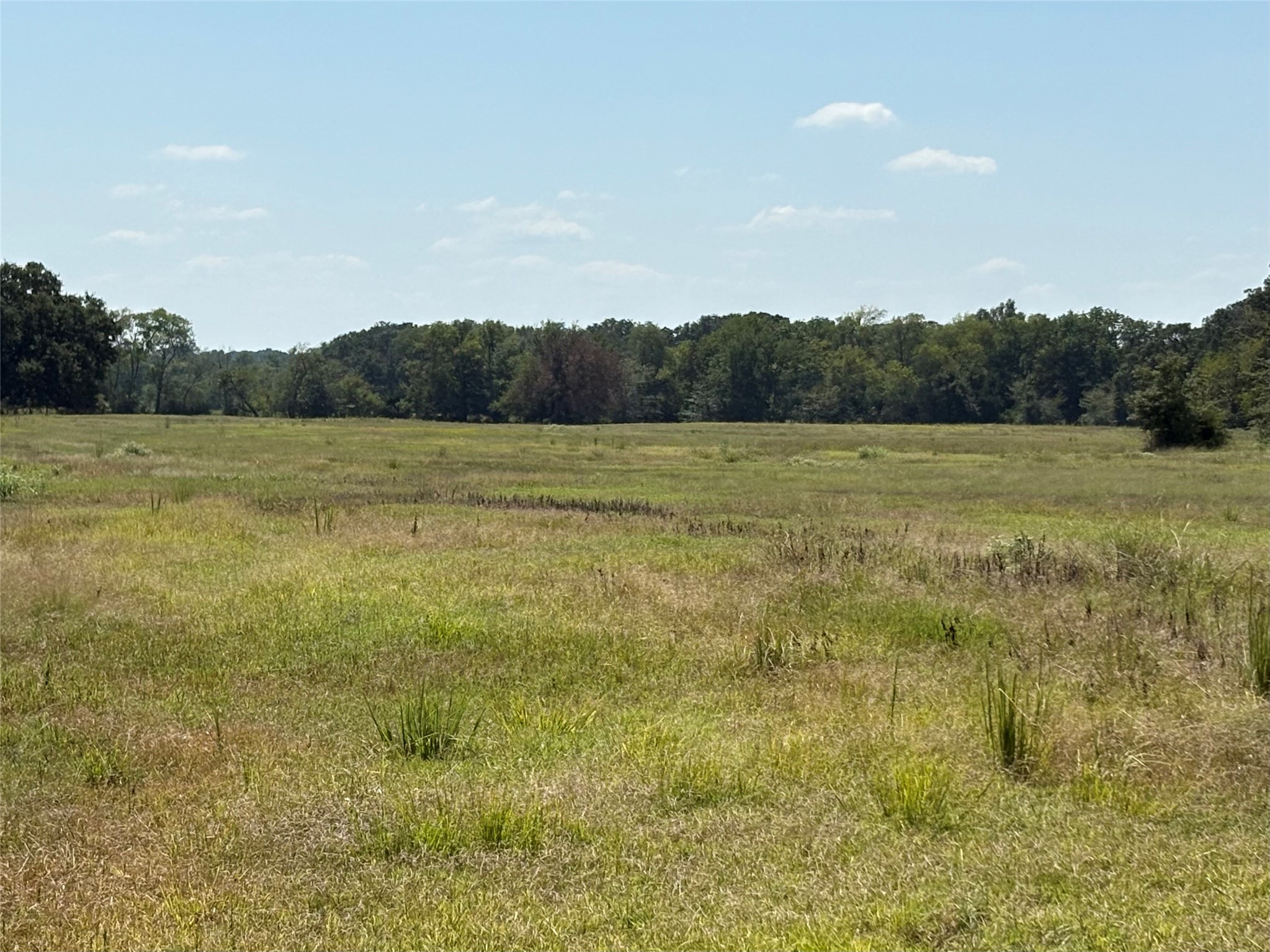 Tbd County Road 1168 Brashear TX 75420