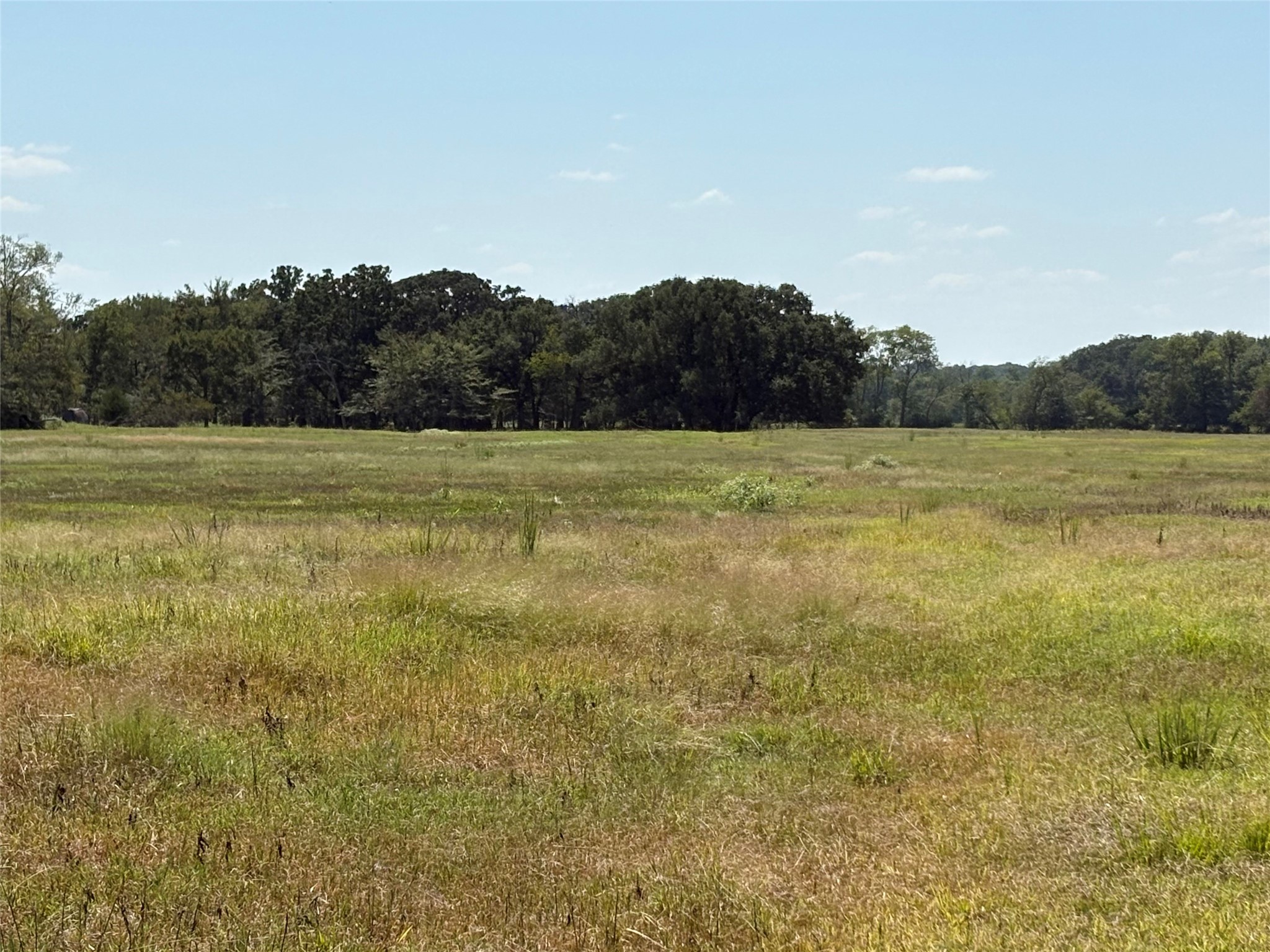 Tbd County Road 1168 Brashear TX 75420