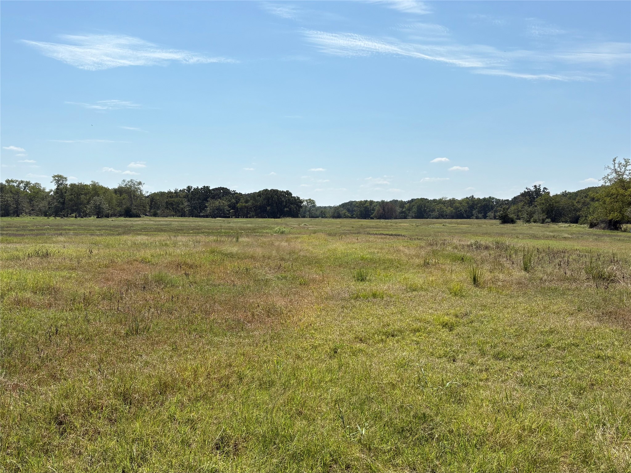 Tbd County Road 1168 Brashear TX 75420