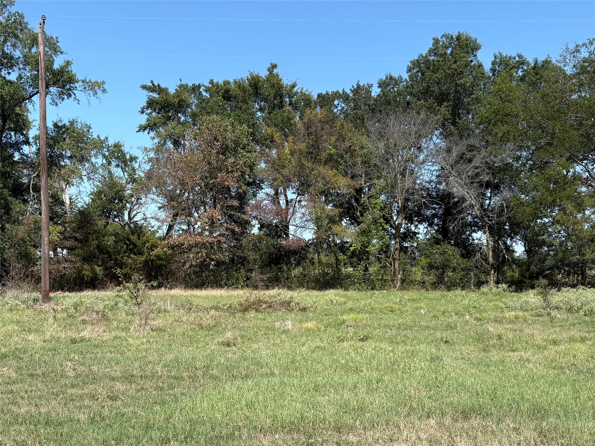 Tbd County Road 1168 Brashear TX 75420