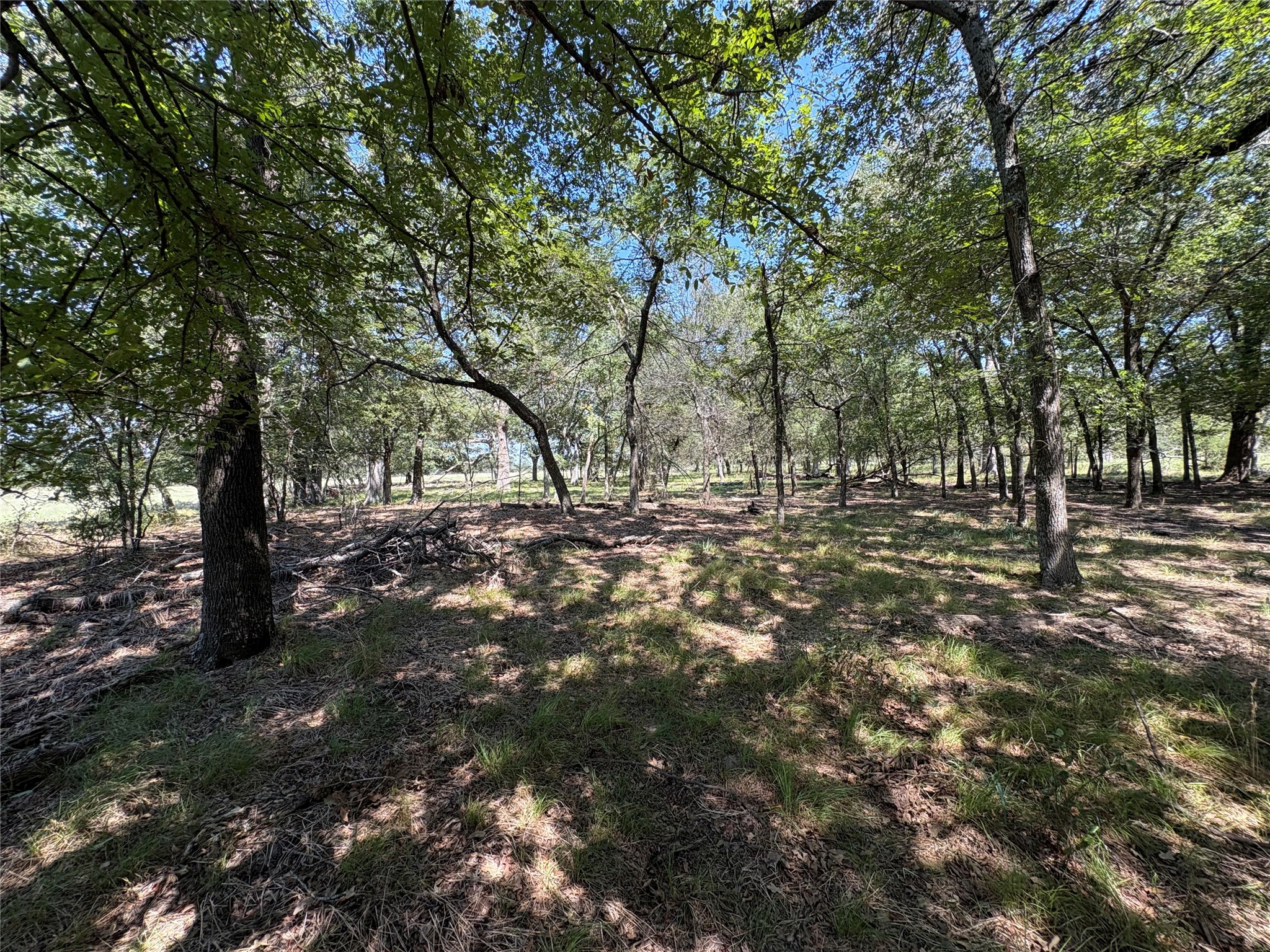 Tbd County Road 1168 Brashear TX 75420