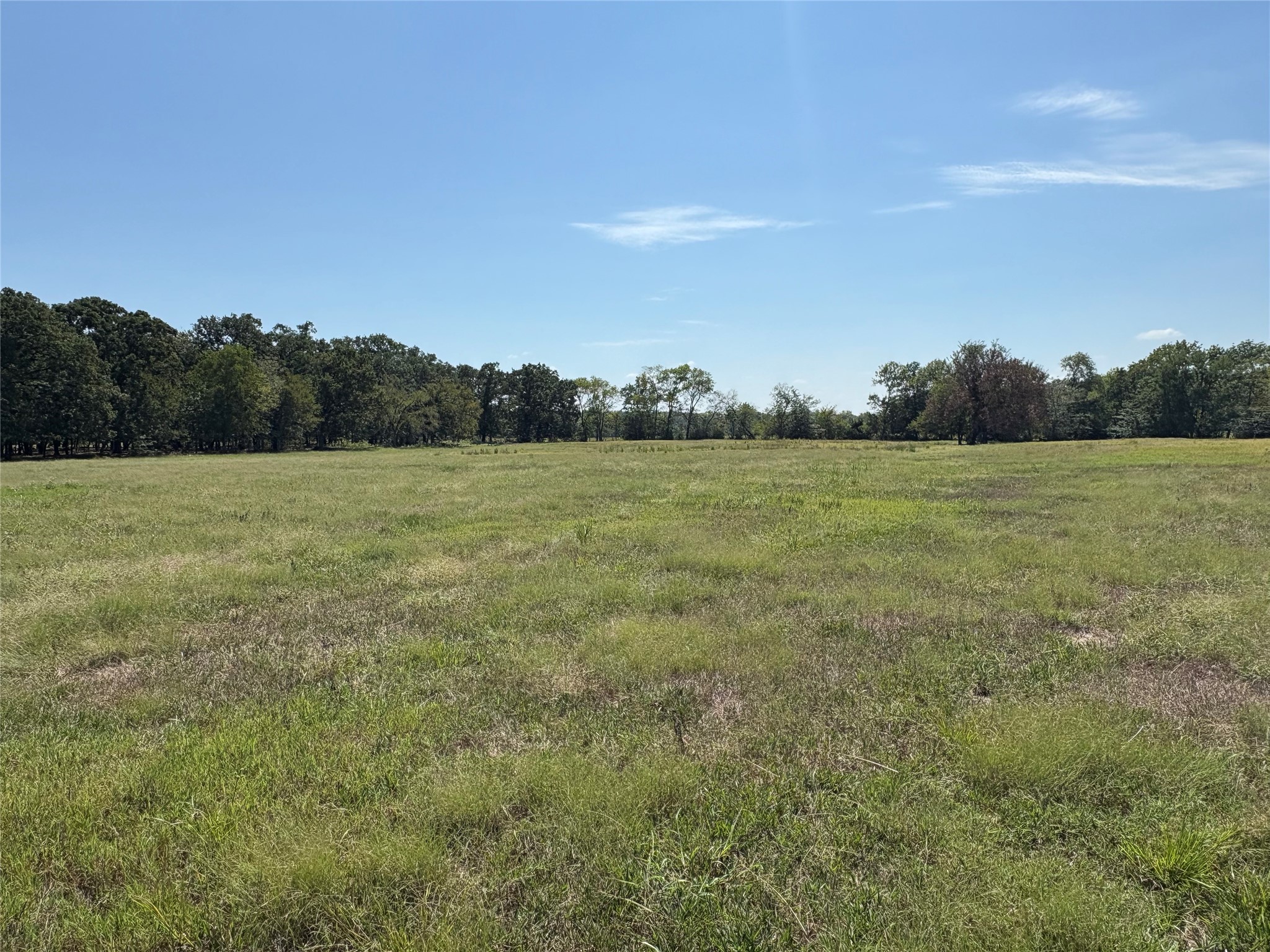 Tbd County Road 1168 Brashear TX 75420
