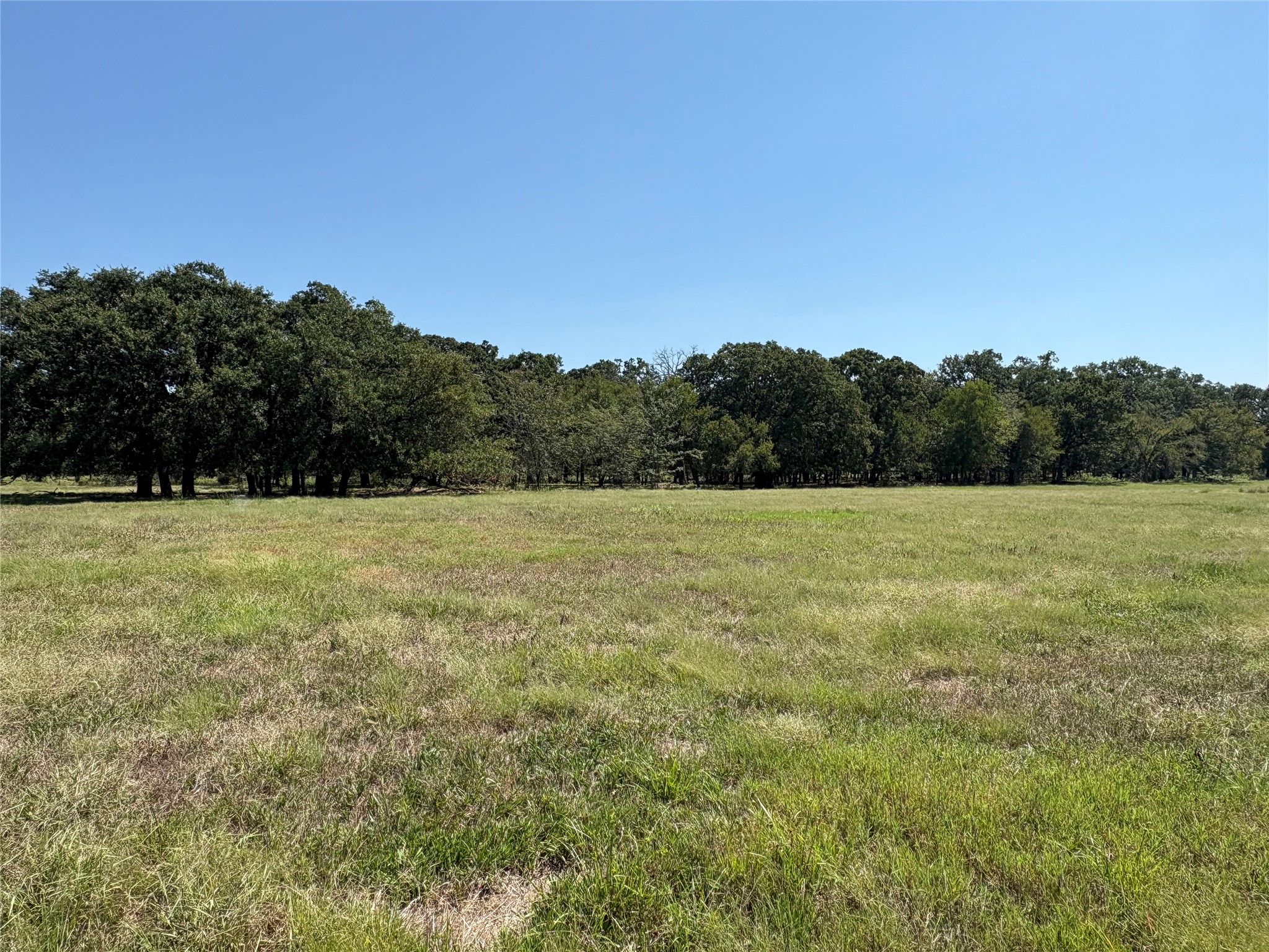 Tbd County Road 1168 Brashear TX 75420