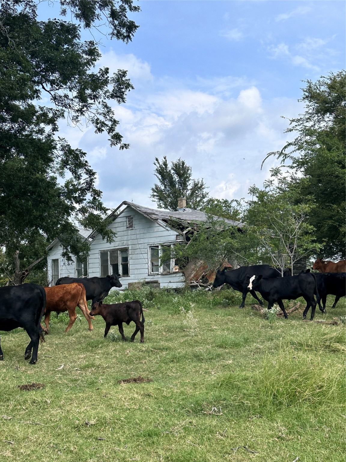 200 Vz Cr 2422 Mabank TX 75147