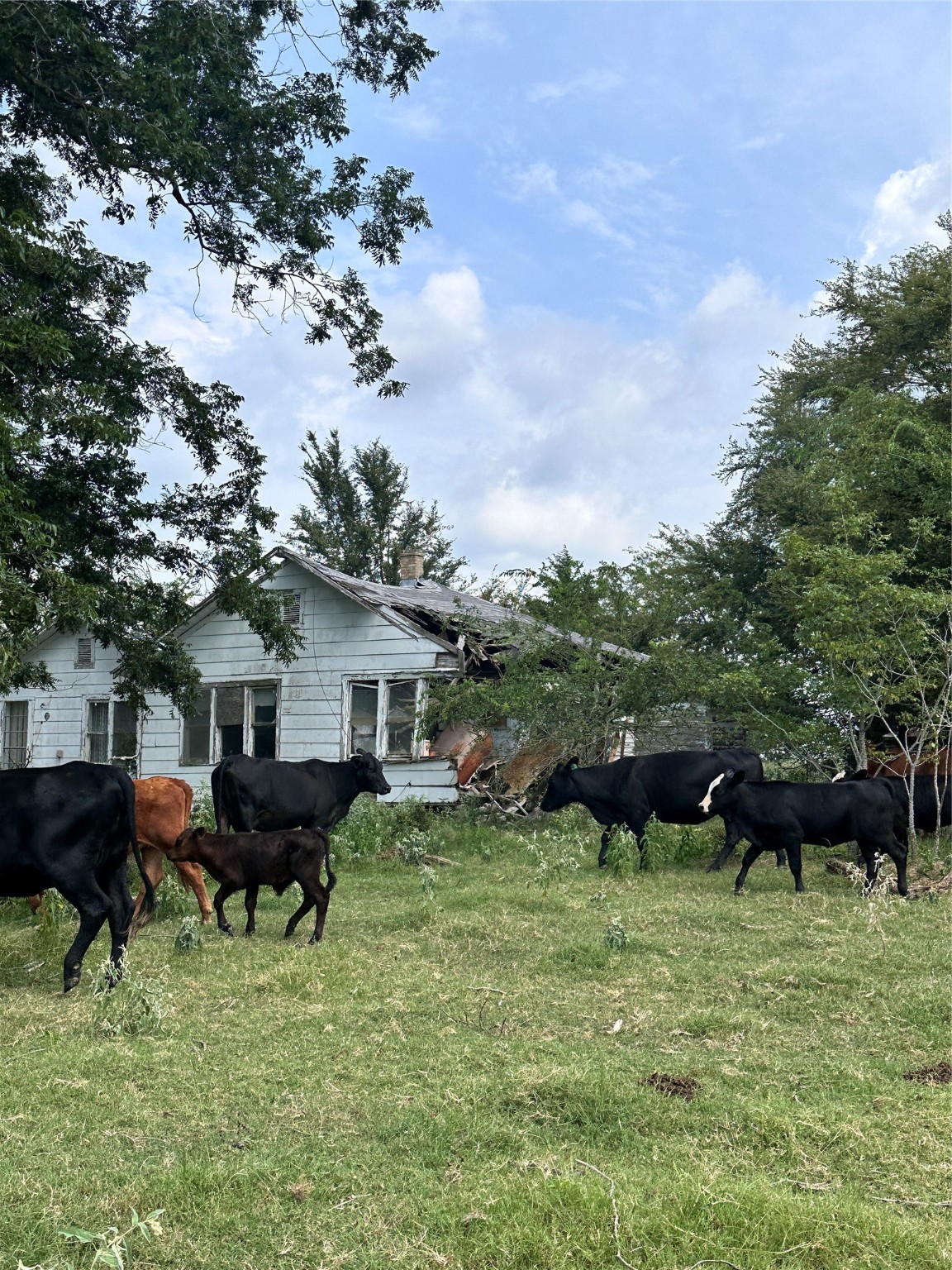 200 Vz Cr 2422 Mabank TX 75147