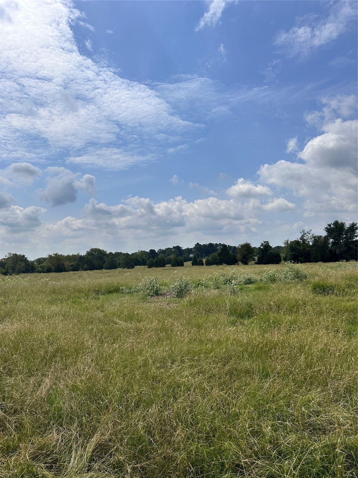 200 Vz Cr 2422 Mabank TX 75147