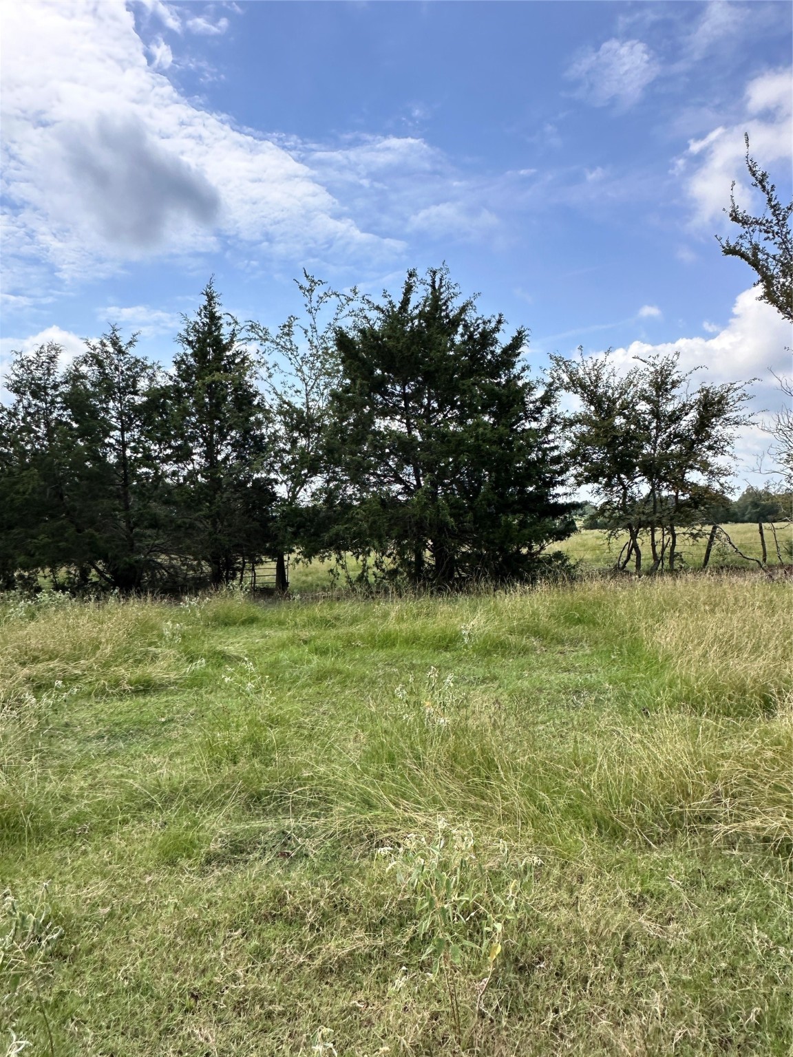 200 Vz Cr 2422 Mabank TX 75147