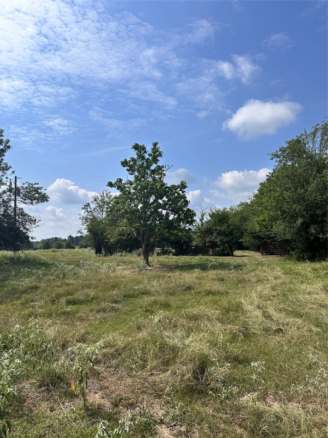 200 Vz Cr 2422 Mabank TX 75147