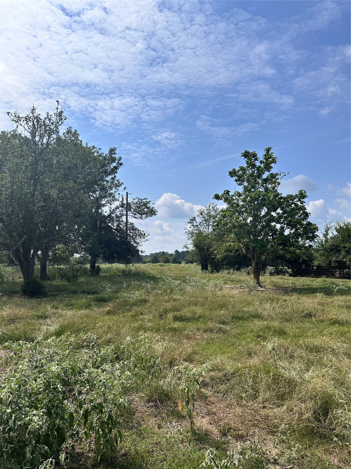 200 Vz Cr 2422 Mabank TX 75147