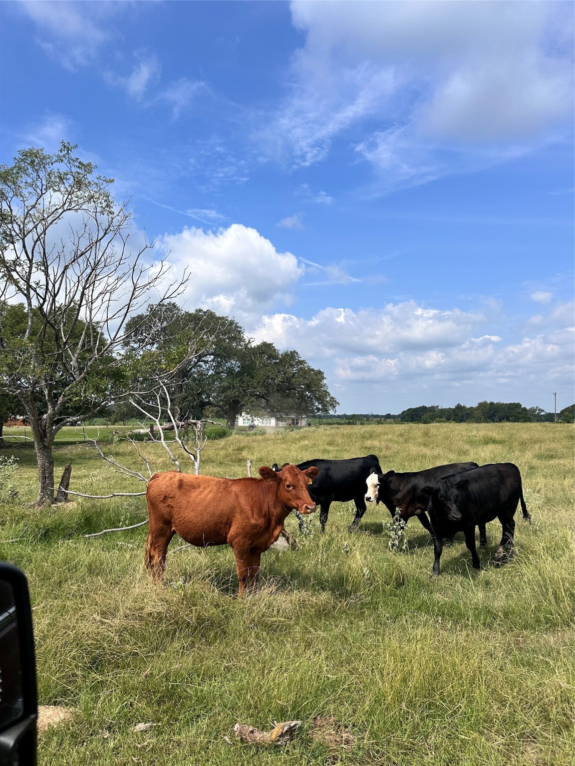 200 Vz Cr 2422 Mabank TX 75147