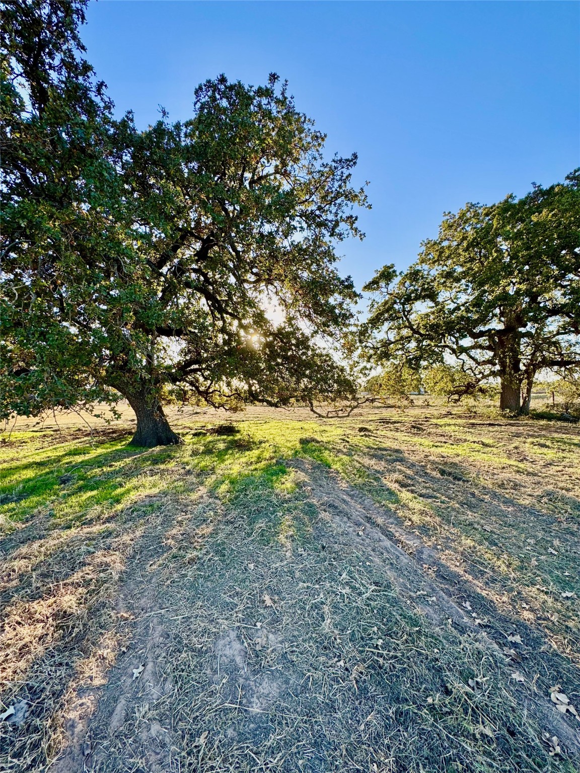 14114 Howard Lake Court Lipan TX 76462