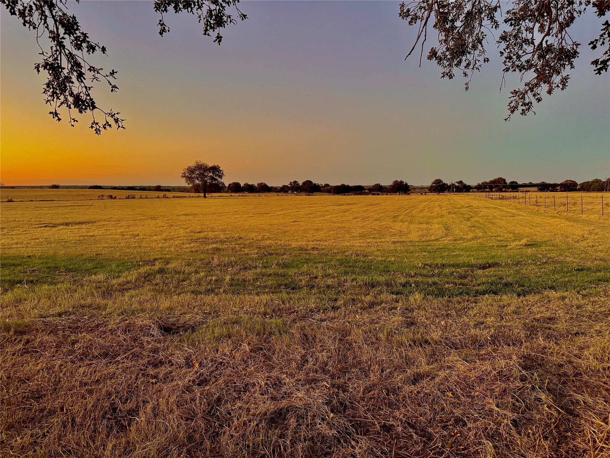 14114 Howard Lake Court Lipan TX 76462