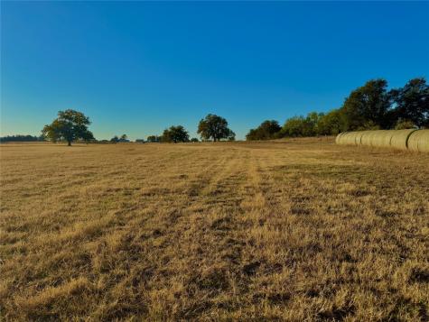 14114 Howard Lake Court Lipan TX 76462