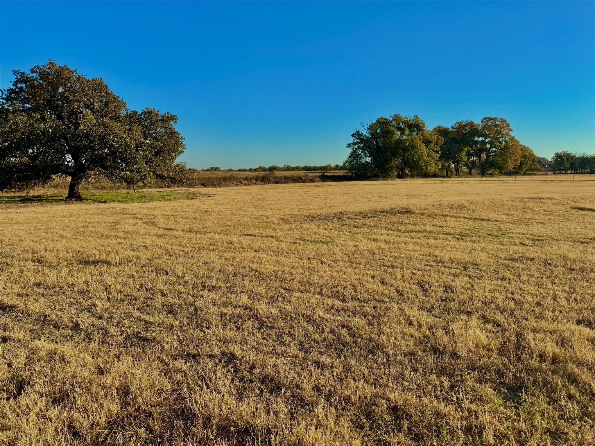 14114 Howard Lake Court Lipan TX 76462