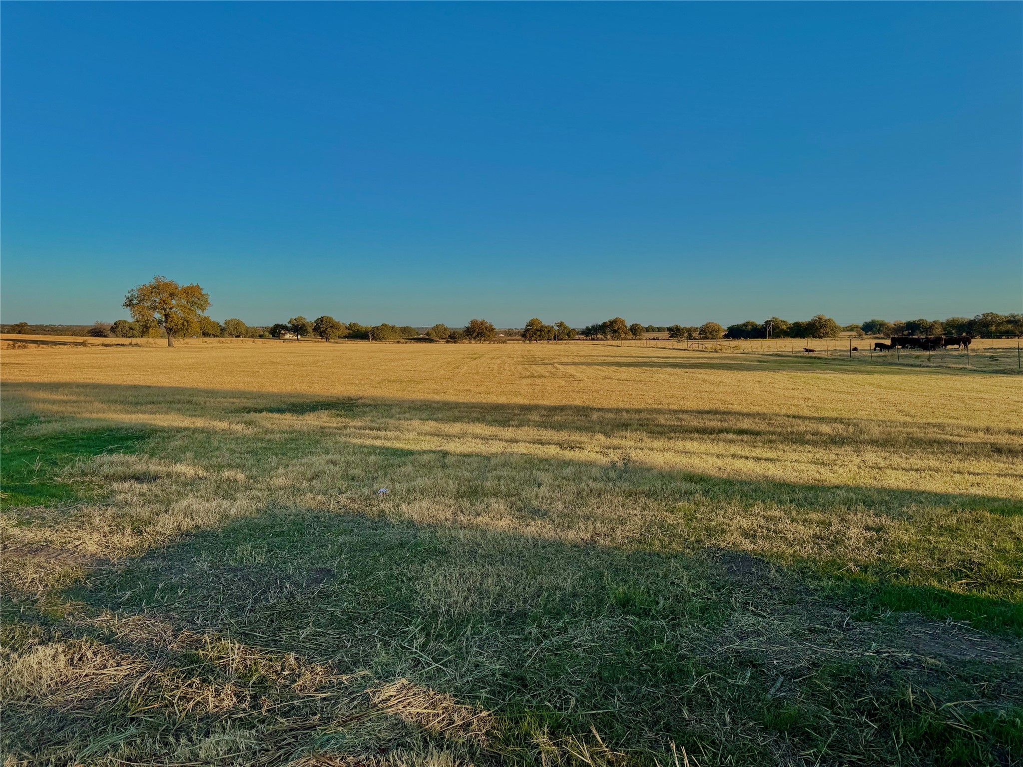 14114 Howard Lake Court Lipan TX 76462