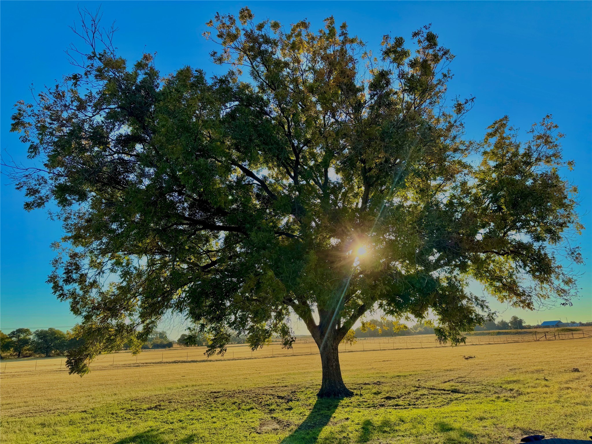 14114 Howard Lake Court Lipan TX 76462