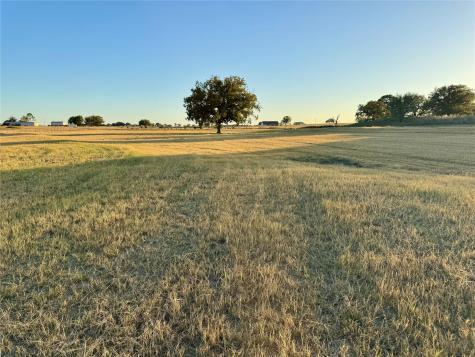 14114 Howard Lake Court Lipan TX 76462
