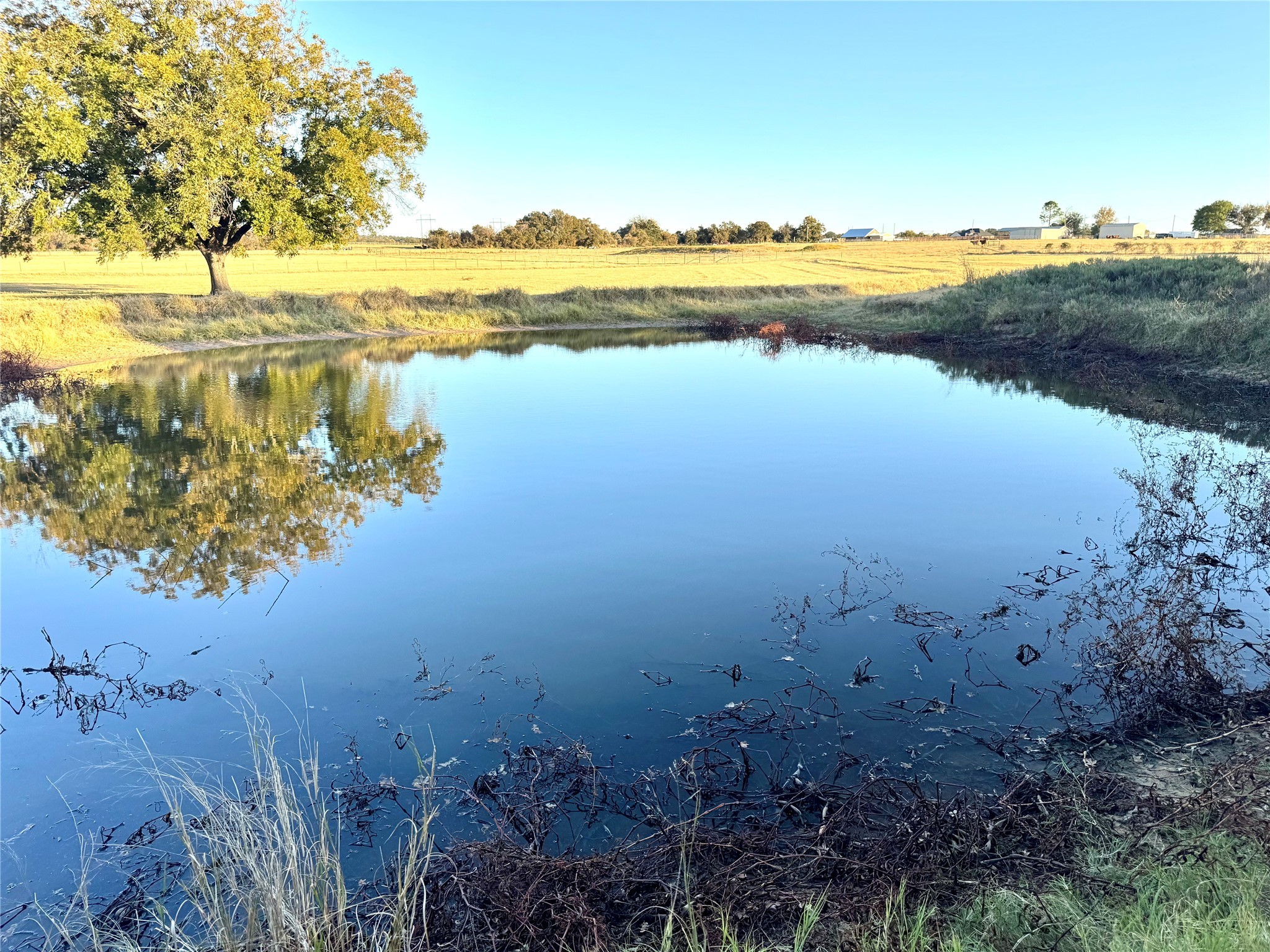14114 Howard Lake Court Lipan TX 76462