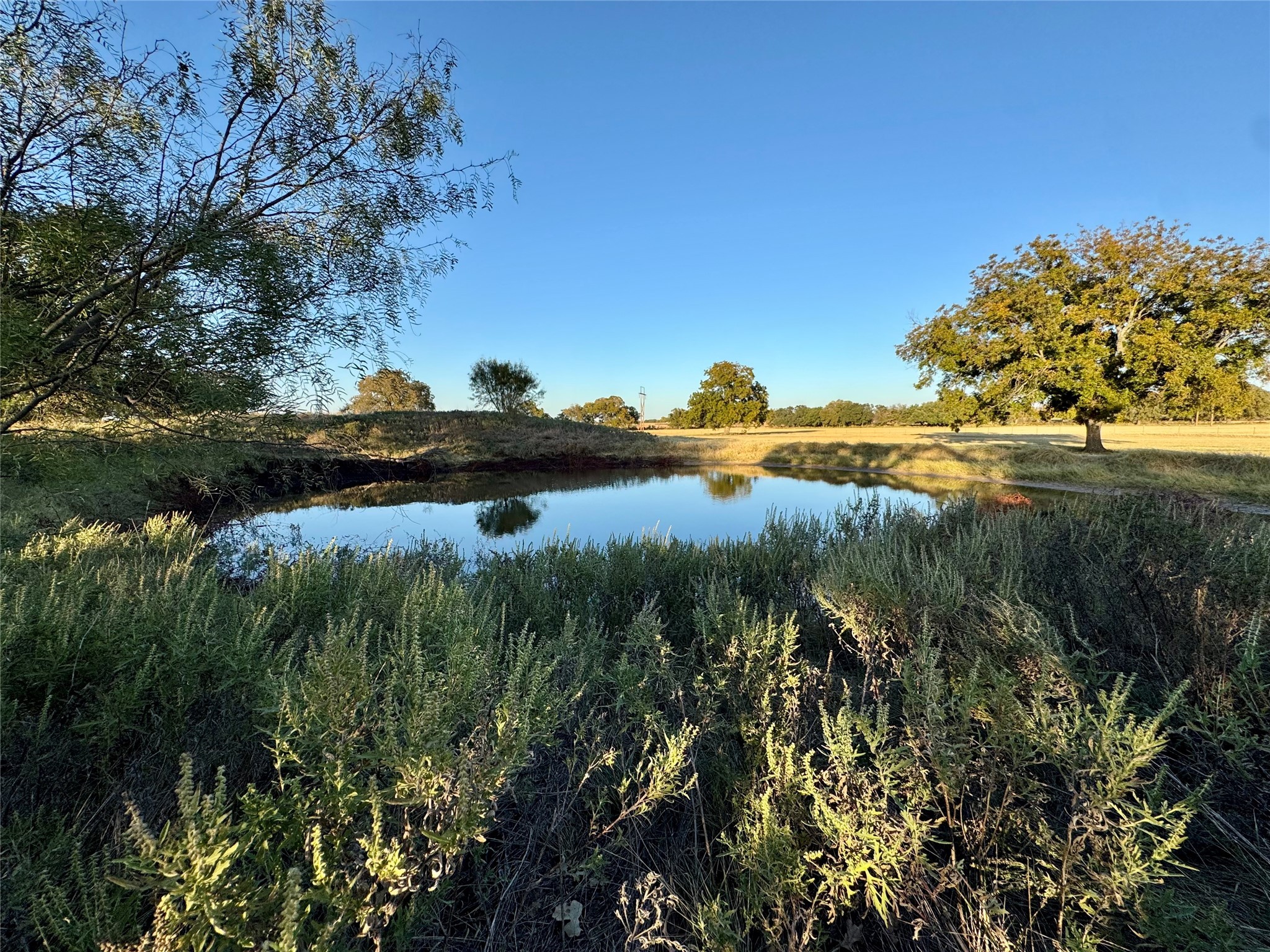 14114 Howard Lake Court Lipan TX 76462