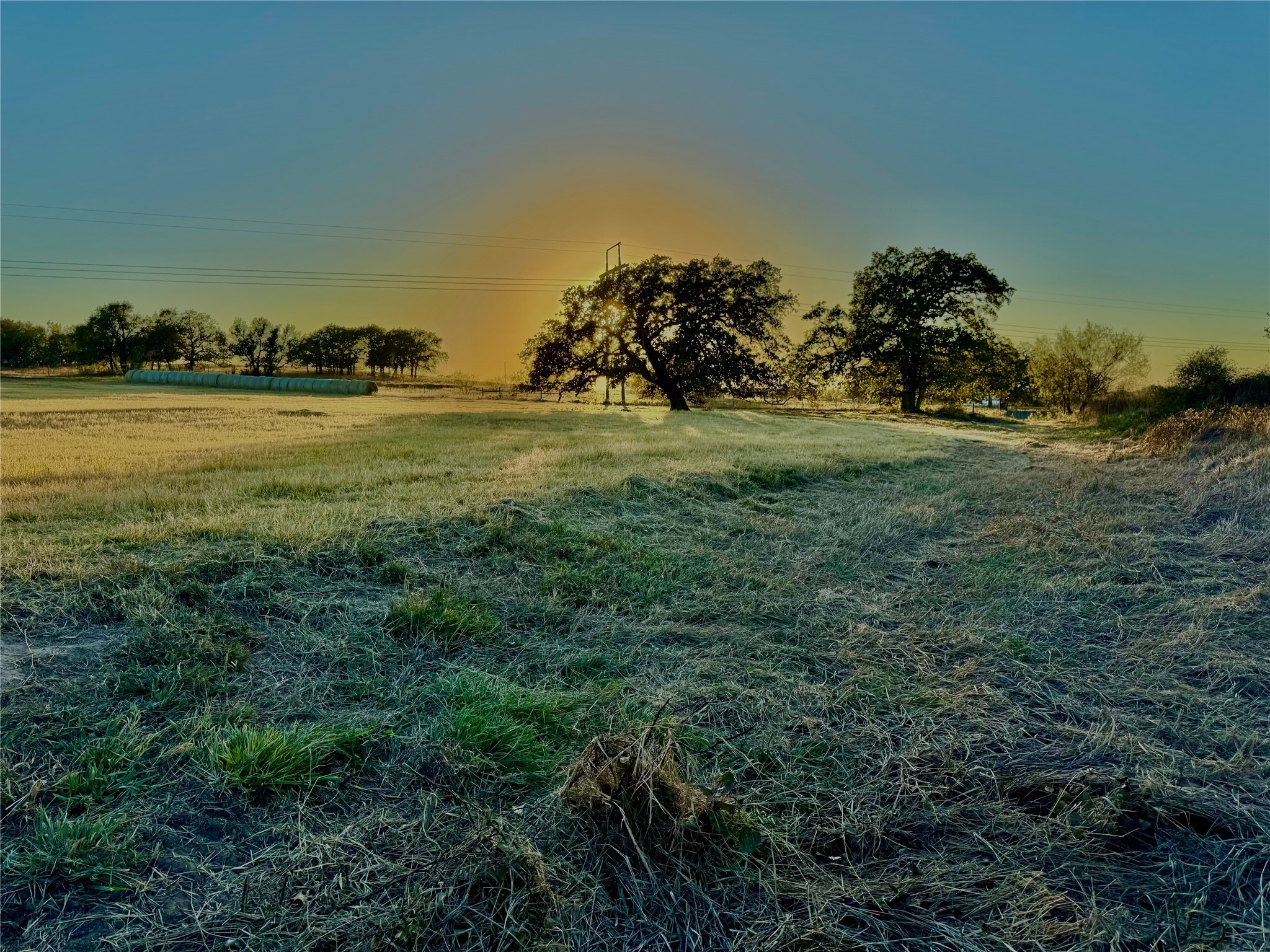14114 Howard Lake Court Lipan TX 76462