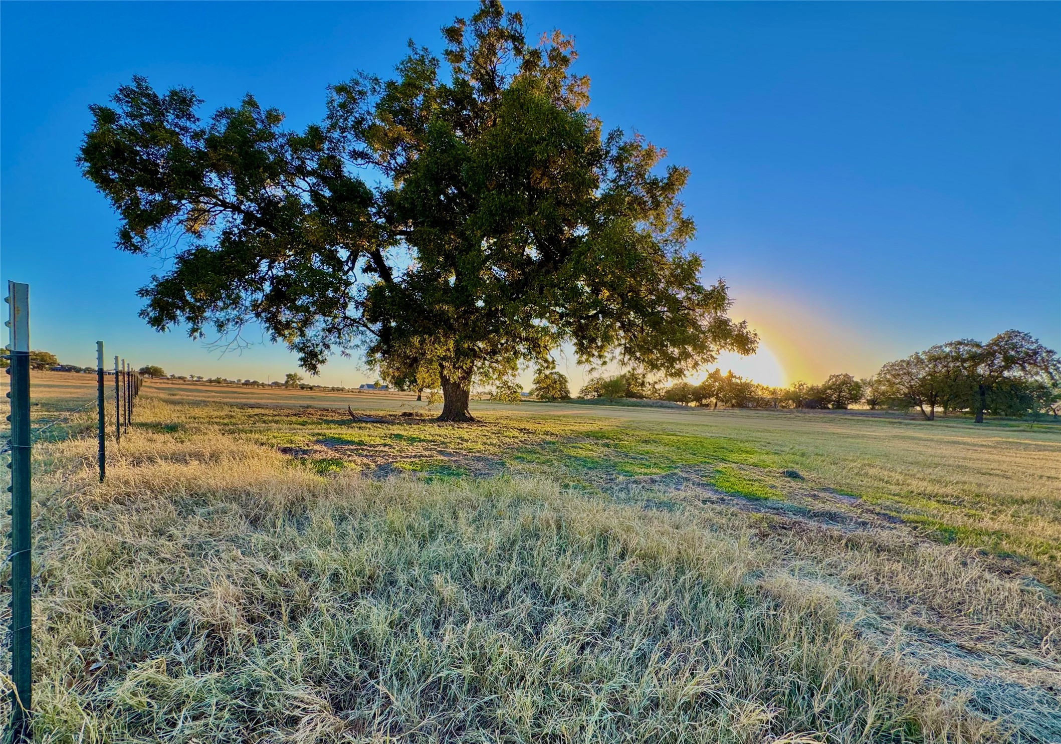 14114 Howard Lake Court Lipan TX 76462
