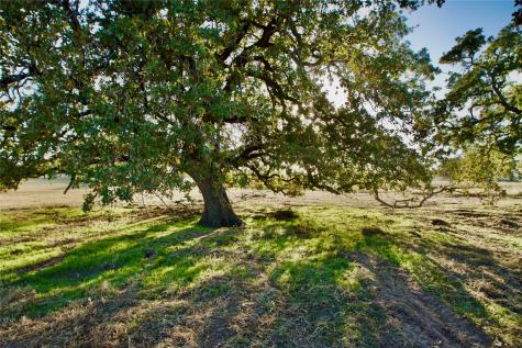 14114 Howard Lake Court Lipan TX 76462