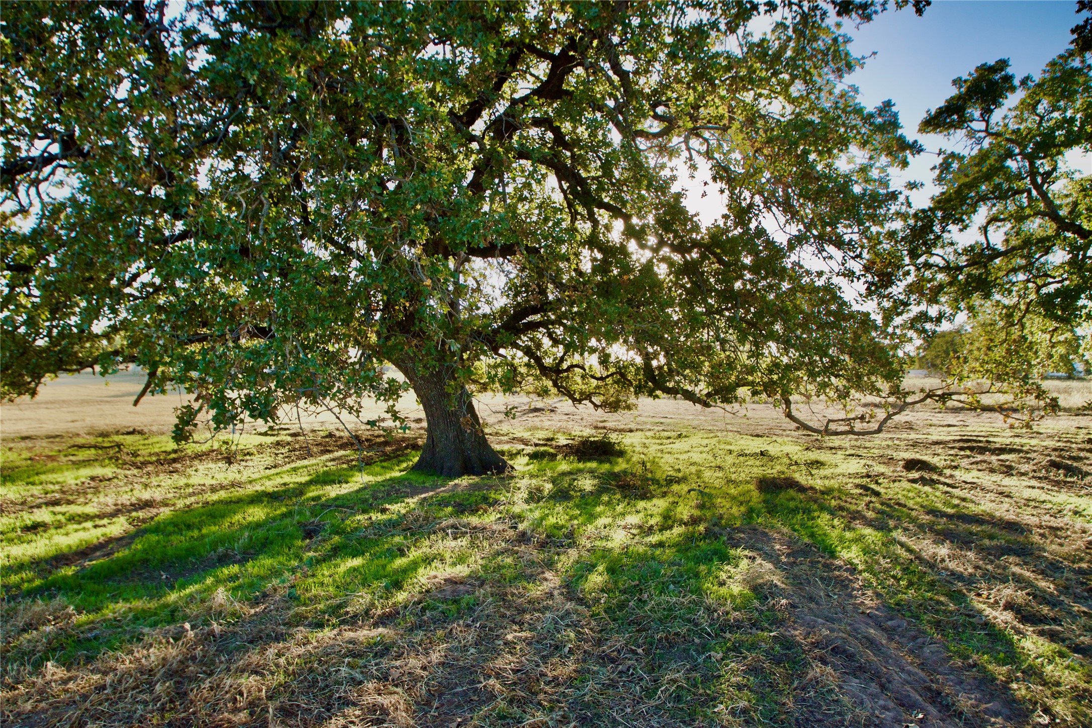 14114 Howard Lake Court Lipan TX 76462