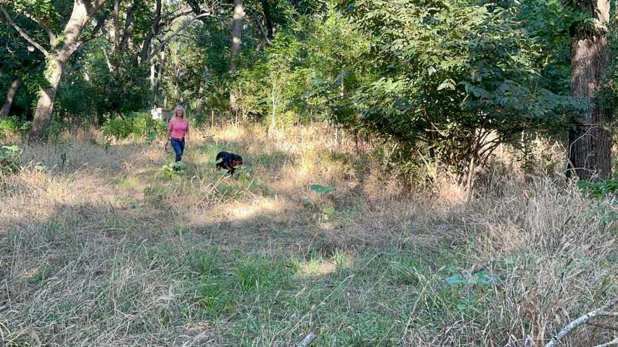 Tbd Oglesby Neff Park Road Moody TX 76557