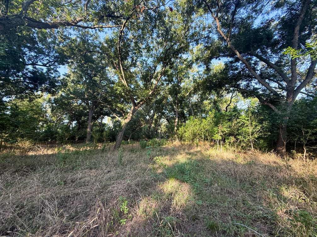 Tbd Oglesby Neff Park Road Moody TX 76557