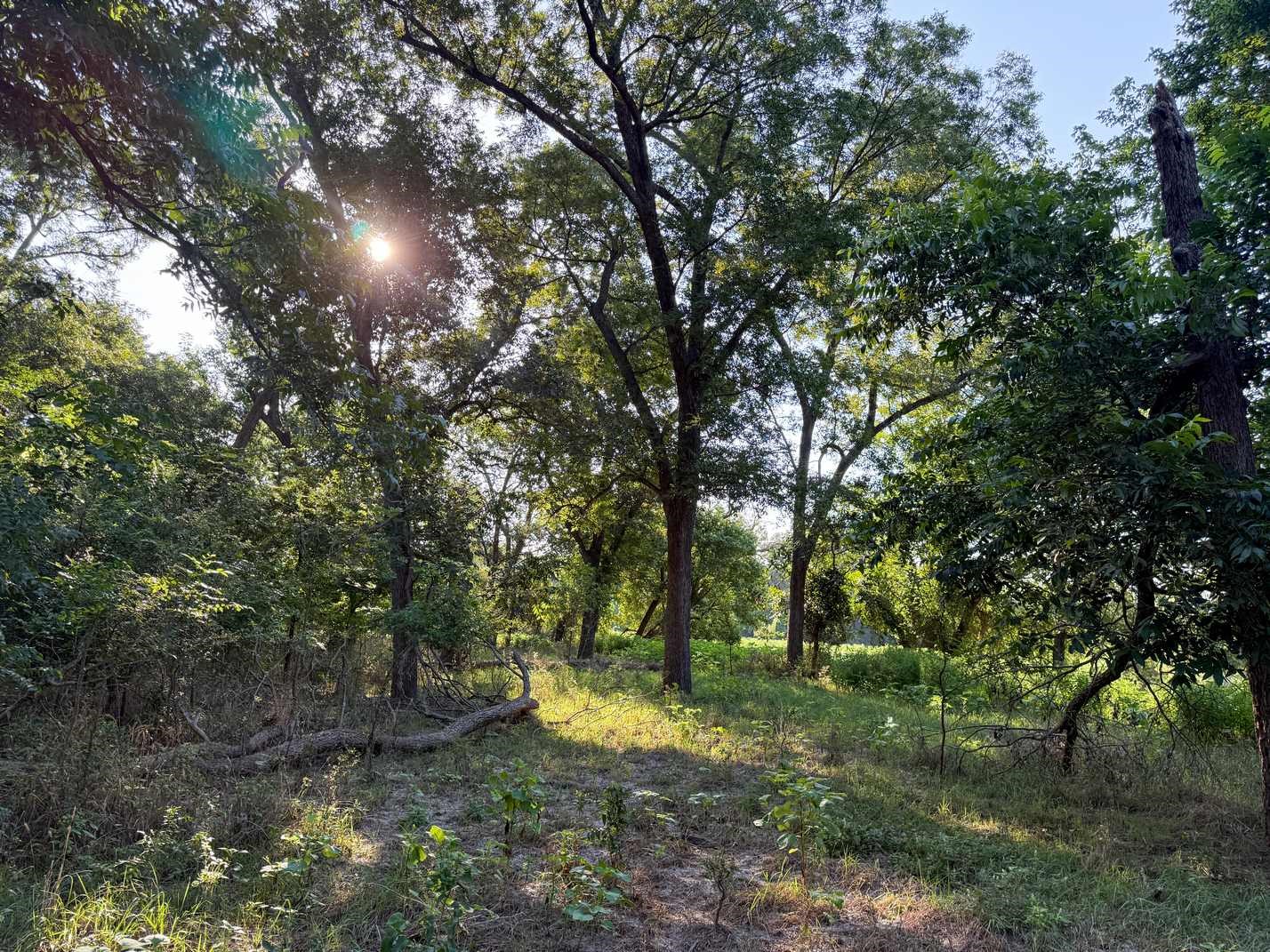 Tbd Oglesby Neff Park Road Moody TX 76557