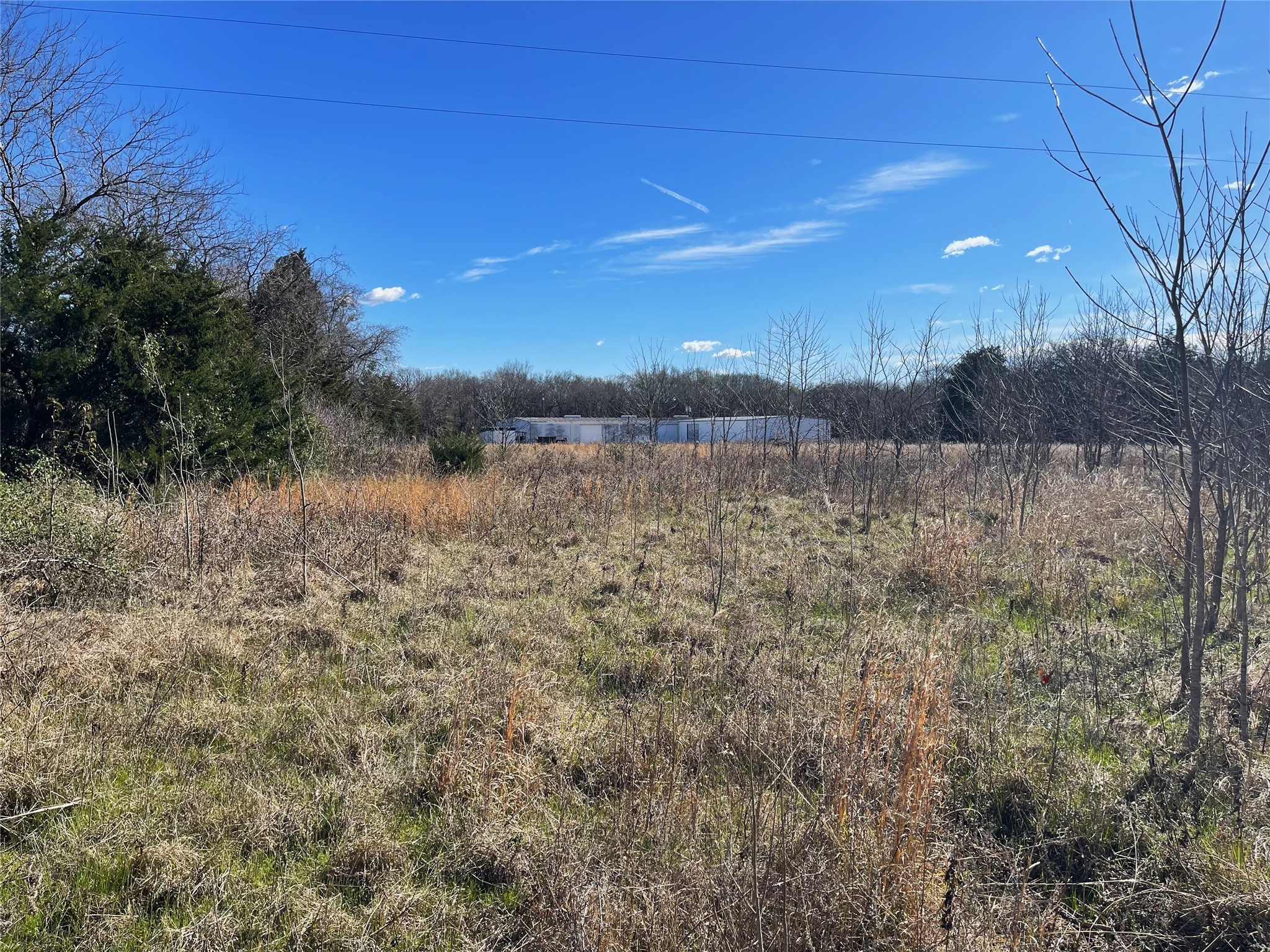 1585 W Highway 84 Mexia TX 76667