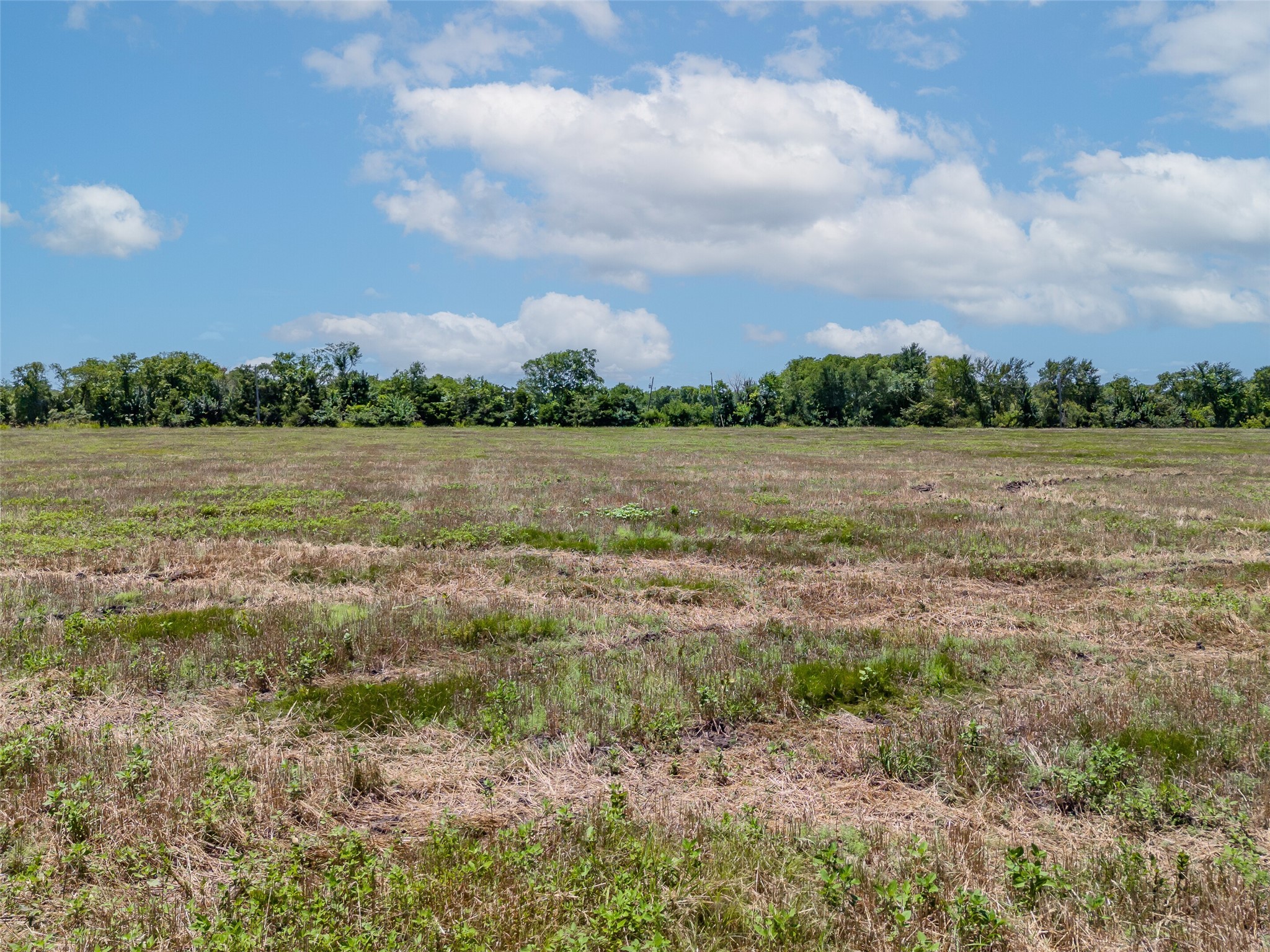 1855 County Road 4935 Trenton TX 75490