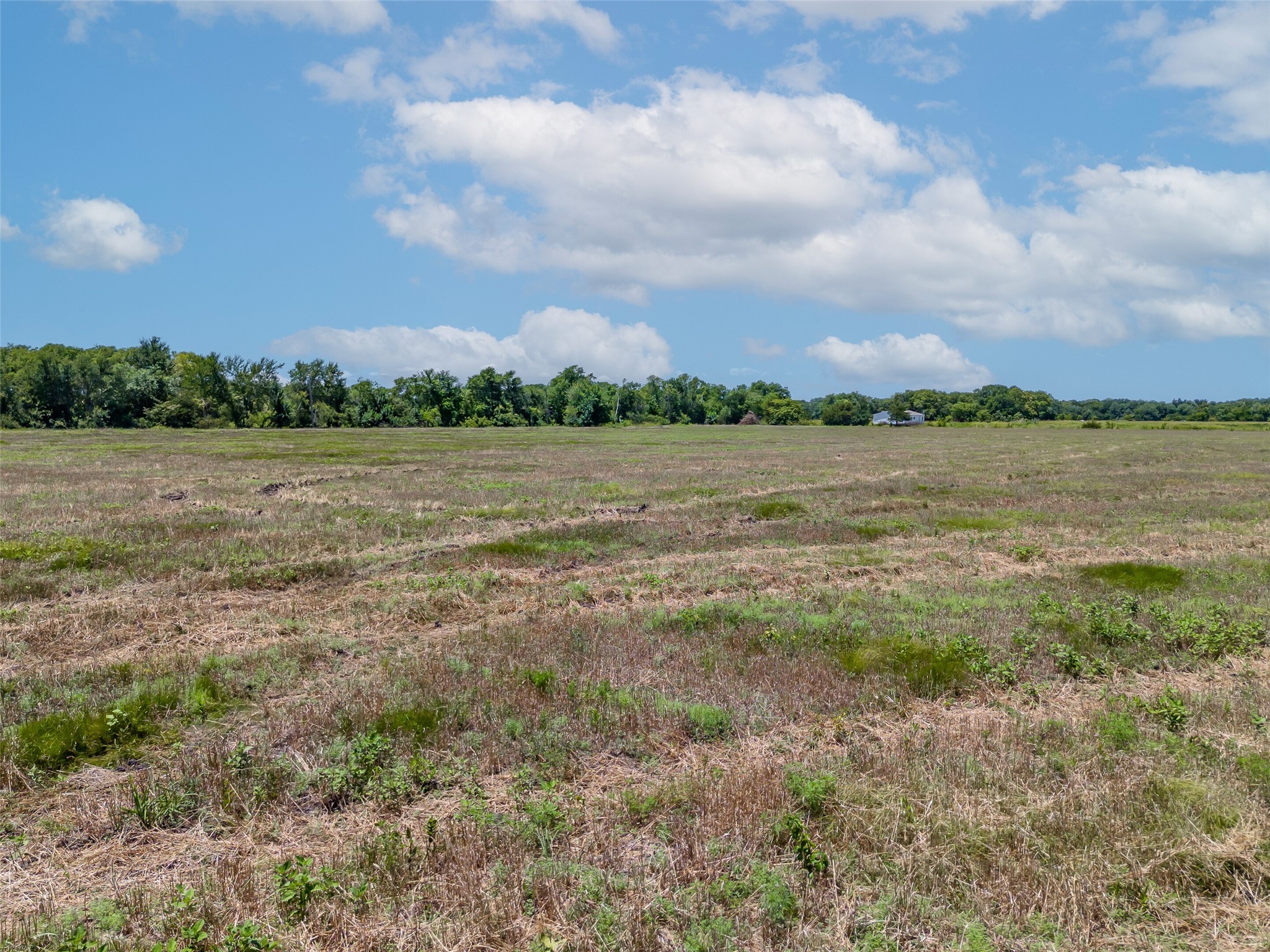1855 County Road 4935 Trenton TX 75490