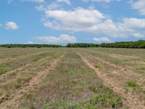 1855 County Road 4935 Trenton TX 75490