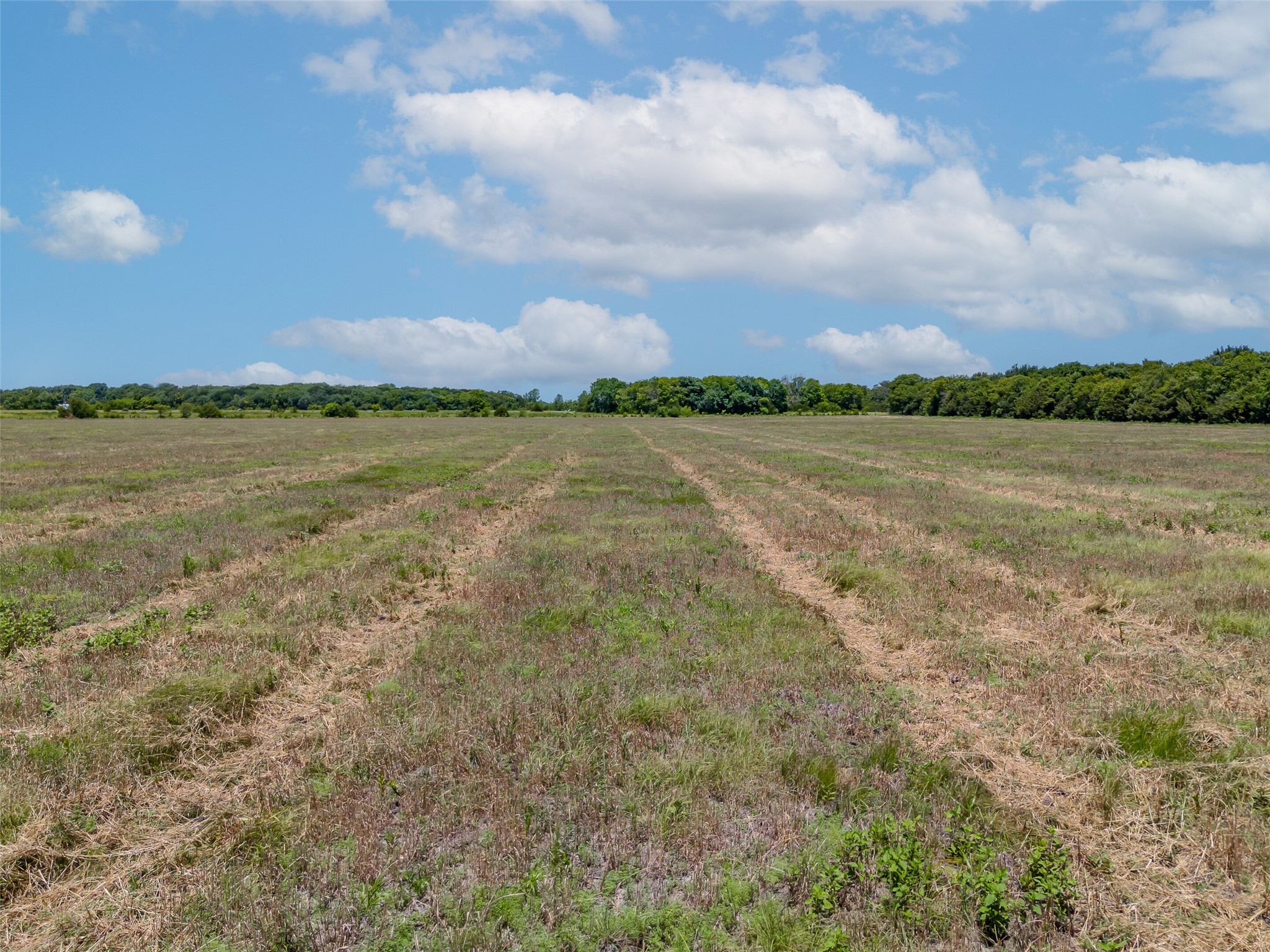 1855 County Road 4935 Trenton TX 75490