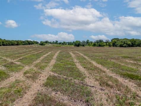 1855 County Road 4935 Trenton TX 75490