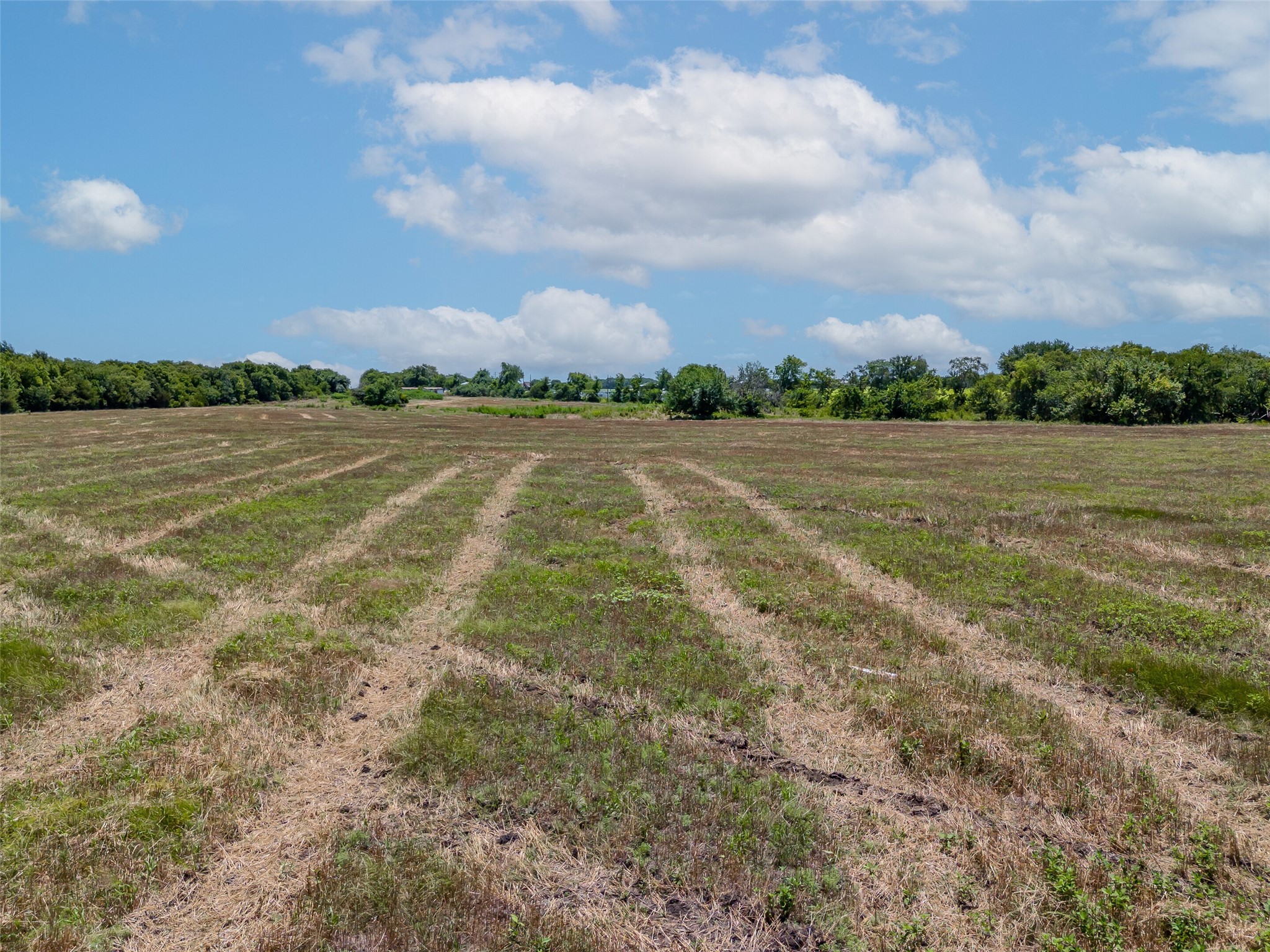 1855 County Road 4935 Trenton TX 75490